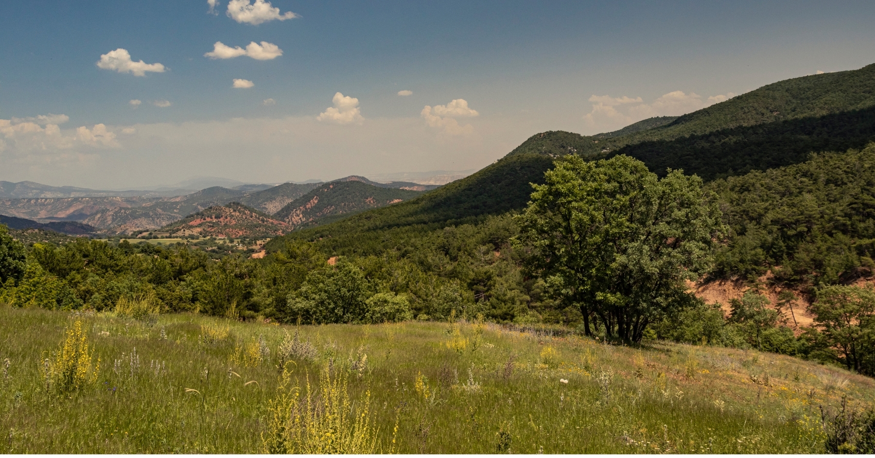 Why Texas Hill Country Surveys Turn to Drone Mapping